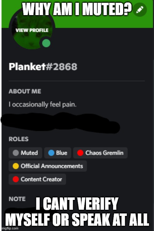 WHY AM I MUTED? I CANT VERIFY MYSELF OR SPEAK AT ALL | made w/ Imgflip meme maker