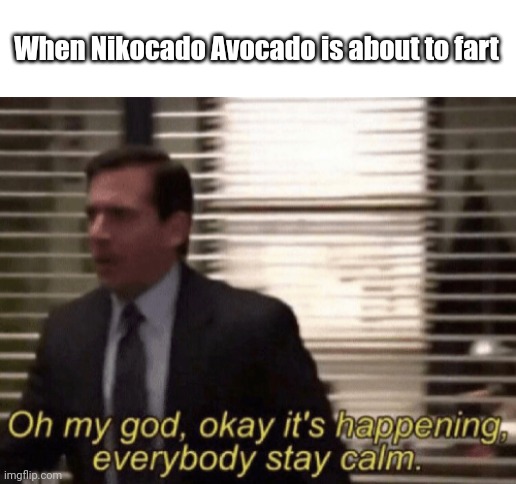 Nik Avocado | When Nikocado Avocado is about to fart | image tagged in oh my god okeay it's happenning everybody stay calm | made w/ Imgflip meme maker
