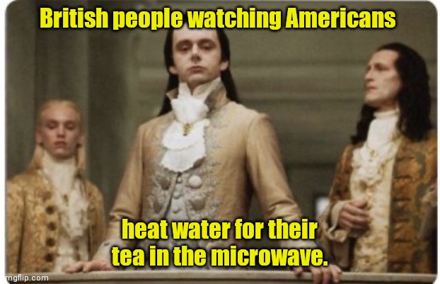 Let's see what the commoners are doing. | British people watching Americans; heat water for their tea in the microwave. | image tagged in superior royalty,funny | made w/ Imgflip meme maker