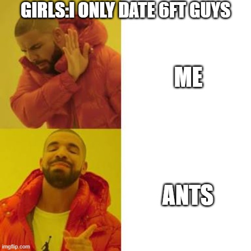 Wait a Minute... | GIRLS:I ONLY DATE 6FT GUYS; ME; ANTS | image tagged in drake no/yes | made w/ Imgflip meme maker