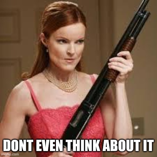 wife with a shotgun | DONT EVEN THINK ABOUT IT | image tagged in wife with a shotgun | made w/ Imgflip meme maker