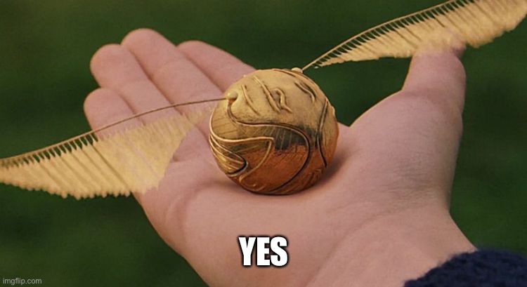 The Golden Snitch | YES | image tagged in the golden snitch | made w/ Imgflip meme maker