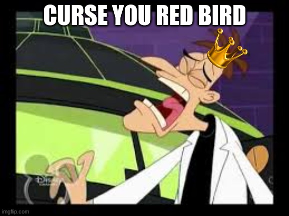curse you perry the platypus | CURSE YOU RED BIRD | image tagged in curse you perry the platypus,angry birds,king pig | made w/ Imgflip meme maker
