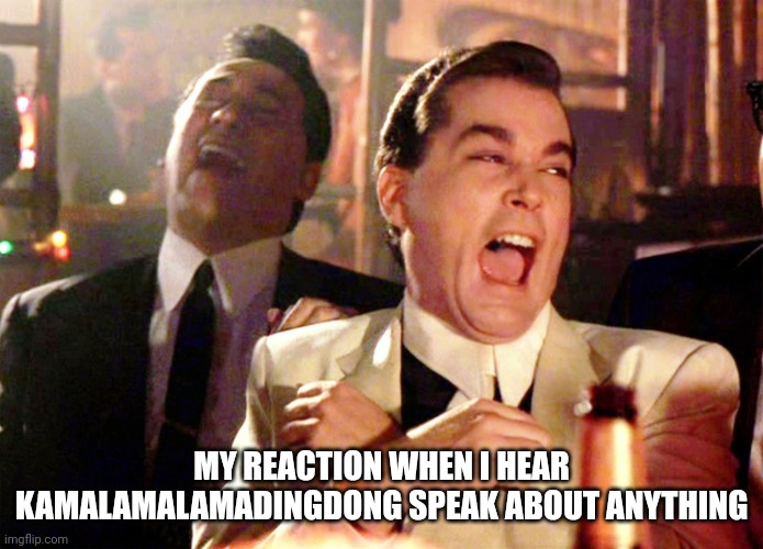 I think she really believes she's smart. Makes Biden look half way competent. | MY REACTION WHEN I HEAR KAMALAMALAMADINGDONG SPEAK ABOUT ANYTHING | image tagged in memes,good fellas hilarious | made w/ Imgflip meme maker