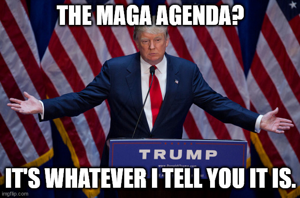 Donald Trump | THE MAGA AGENDA? IT'S WHATEVER I TELL YOU IT IS. | image tagged in donald trump | made w/ Imgflip meme maker