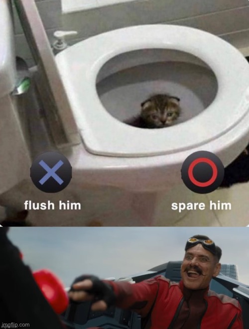 O | image tagged in x flush him o spare him,memes,robotnik pressing red button,robotnik button,dank memes,cats | made w/ Imgflip meme maker