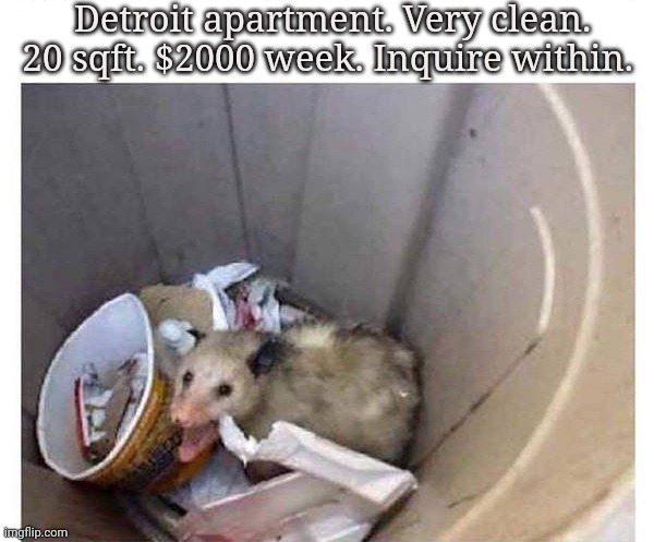 Best deal of the day | Detroit apartment. Very clean. 20 sqft. $2000 week. Inquire within. | image tagged in apartment,in,detroit,plus a free cat | made w/ Imgflip meme maker