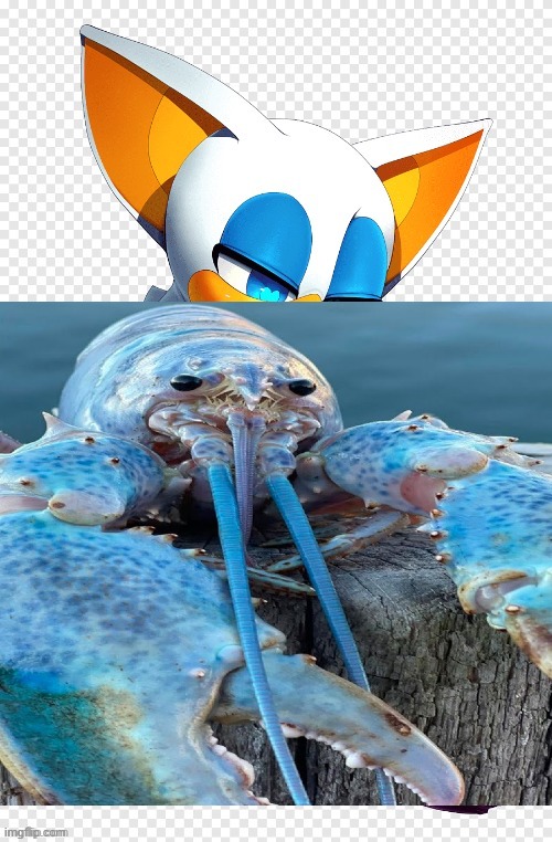 fixed it | made w/ Imgflip meme maker