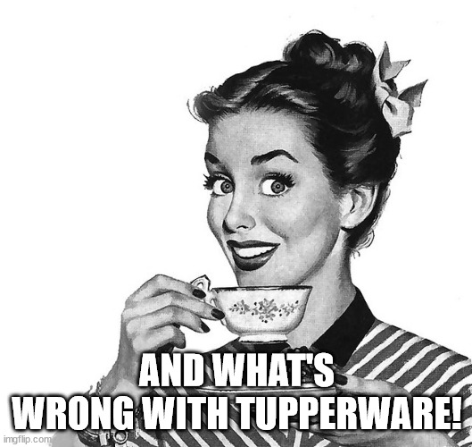 Retro woman teacup | AND WHAT'S WRONG WITH TUPPERWARE! | image tagged in retro woman teacup | made w/ Imgflip meme maker