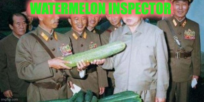 I'll take your entire stonks | WATERMELON INSPECTOR | image tagged in kim jong ill cucumber,stop it get some help,watermelon,inspector | made w/ Imgflip meme maker