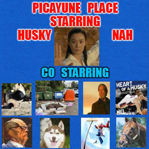 PICAYUNE   PLACE
STARRING
HUSKY                           NAH; CO   STARRING | made w/ Imgflip meme maker