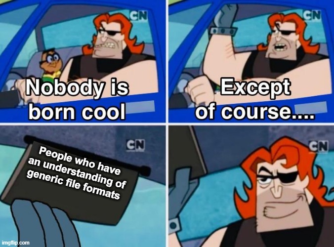 Nobody is born cool | People who have an understanding of generic file formats | image tagged in nobody is born cool | made w/ Imgflip meme maker