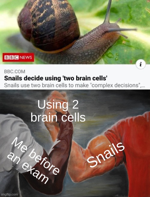 My spirit animal |  Using 2 brain cells; Snails; Me before an exam | image tagged in memes,epic handshake,funny,snail,brain | made w/ Imgflip meme maker