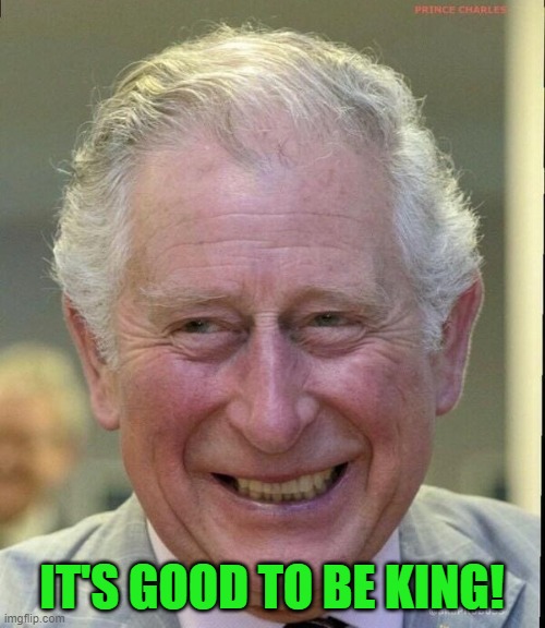 King Charles smiling | IT'S GOOD TO BE KING! | image tagged in king charles smiling | made w/ Imgflip meme maker