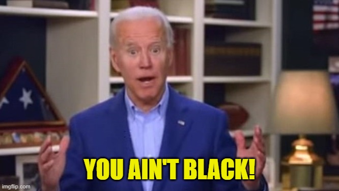 Joe Biden You Ain't Black | YOU AIN'T BLACK! | image tagged in joe biden you ain't black | made w/ Imgflip meme maker