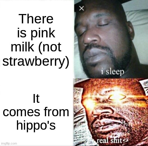 Sleeping Shaq Meme | There is pink milk (not strawberry); It comes from hippo's | image tagged in memes,sleeping shaq | made w/ Imgflip meme maker