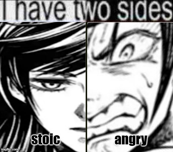 poor brunehilde | stoic; angry | image tagged in i have two sides | made w/ Imgflip meme maker