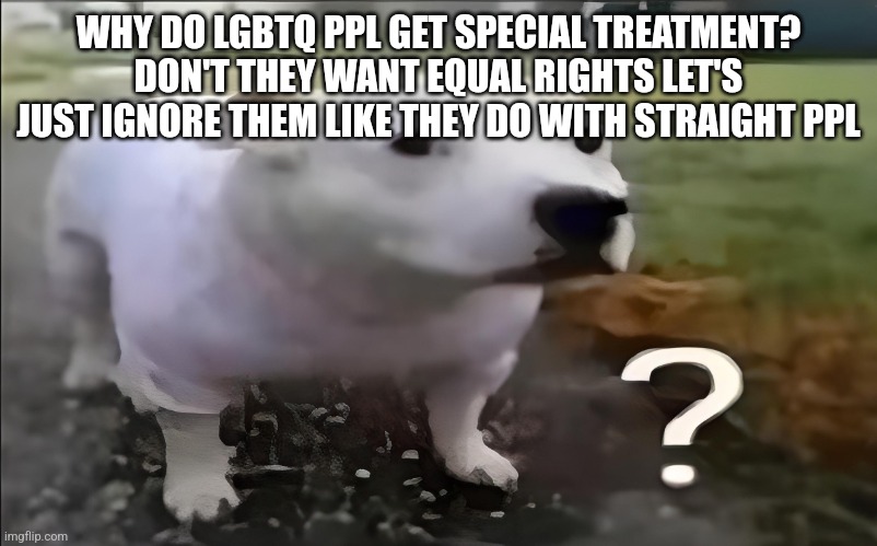 Huh Dog | WHY DO LGBTQ PPL GET SPECIAL TREATMENT? DON'T THEY WANT EQUAL RIGHTS LET'S JUST IGNORE THEM LIKE THEY DO WITH STRAIGHT PPL | image tagged in huh dog | made w/ Imgflip meme maker