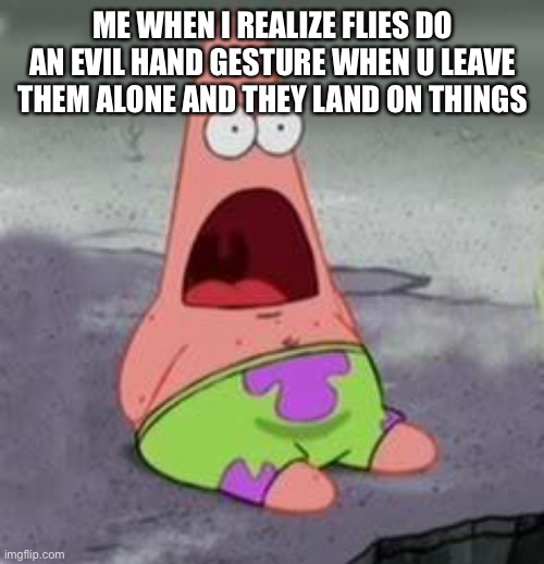 Suprised Patrick | ME WHEN I REALIZE FLIES DO AN EVIL HAND GESTURE WHEN U LEAVE THEM ALONE AND THEY LAND ON THINGS | image tagged in suprised patrick | made w/ Imgflip meme maker