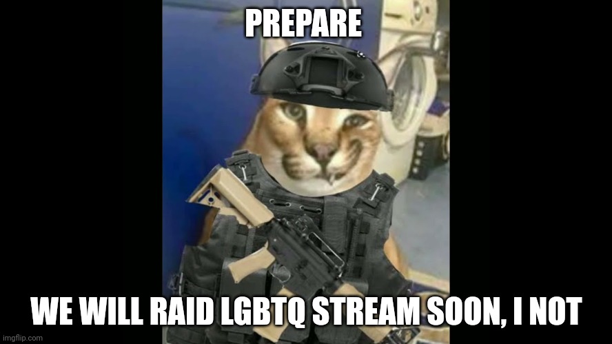 Floppa Military Annoucment | PREPARE; WE WILL RAID LGBTQ STREAM SOON, I NOT | image tagged in floppa military annoucment | made w/ Imgflip meme maker