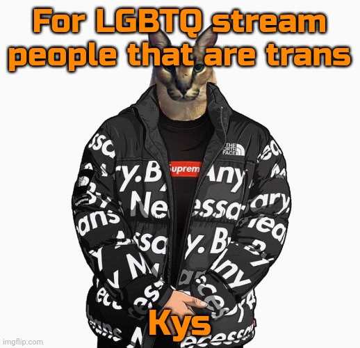 Floppa drip | For LGBTQ stream people that are trans; Kys | image tagged in floppa drip | made w/ Imgflip meme maker