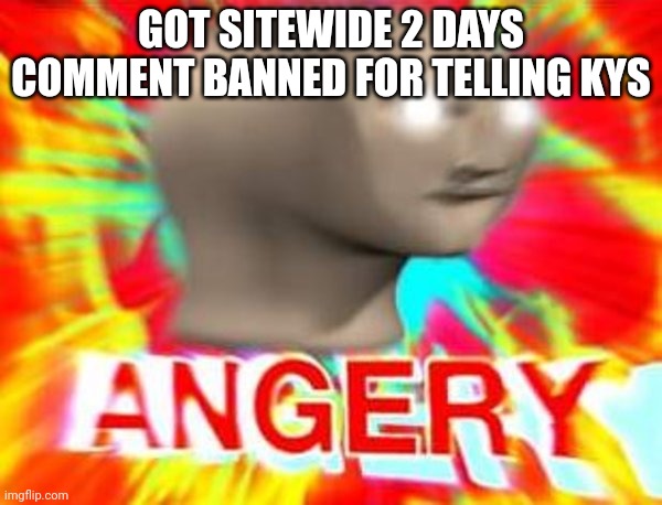 Surreal Angery | GOT SITEWIDE 2 DAYS COMMENT BANNED FOR TELLING KYS | image tagged in surreal angery | made w/ Imgflip meme maker