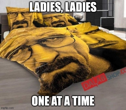 Breaking Bed | LADIES, LADIES; ONE AT A TIME | image tagged in breaking bed | made w/ Imgflip meme maker
