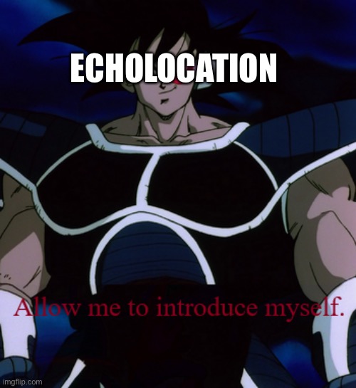 Allow Me To Introduce Myself Turles | ECHOLOCATION | image tagged in allow me to introduce myself turles | made w/ Imgflip meme maker