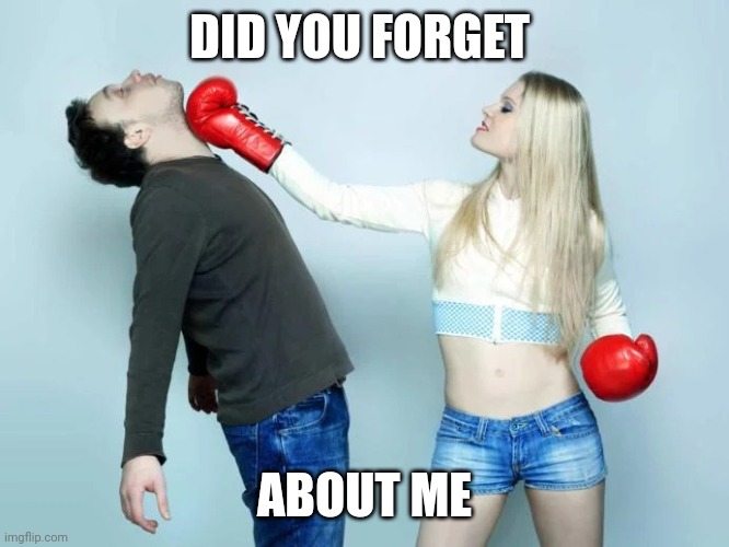 Don't forget about me | DID YOU FORGET; ABOUT ME | image tagged in punch,bully,never forget | made w/ Imgflip meme maker