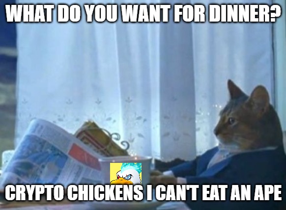 dinner-cat-imgflip