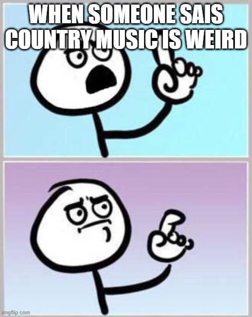 Wait what? | WHEN SOMEONE SAIS COUNTRY MUSIC IS WEIRD | image tagged in wait what | made w/ Imgflip meme maker