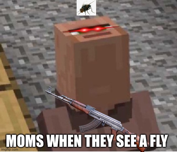 Minecraft Villager Looking Up | MOMS WHEN THEY SEE A FLY | image tagged in minecraft villager looking up | made w/ Imgflip meme maker