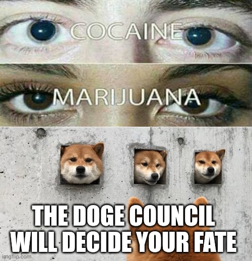 THE DOGE COUNCIL WILL DECIDE YOUR FATE | made w/ Imgflip meme maker