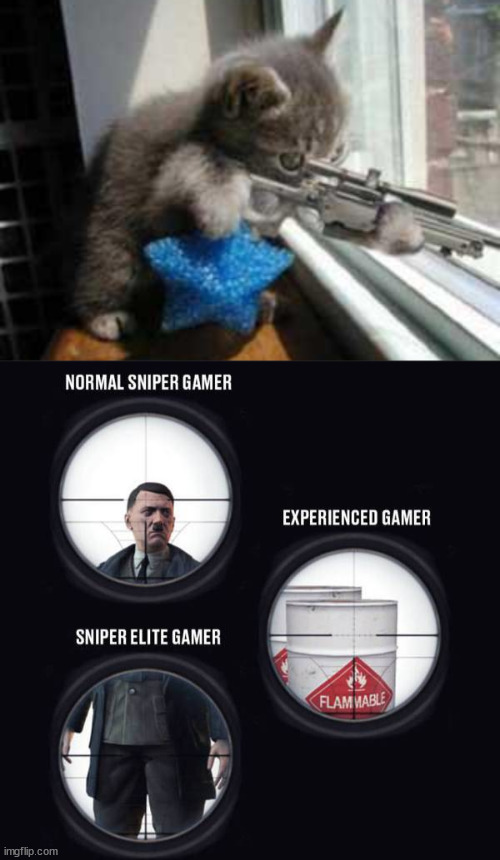 Be elite | image tagged in catsniper,gaming | made w/ Imgflip meme maker