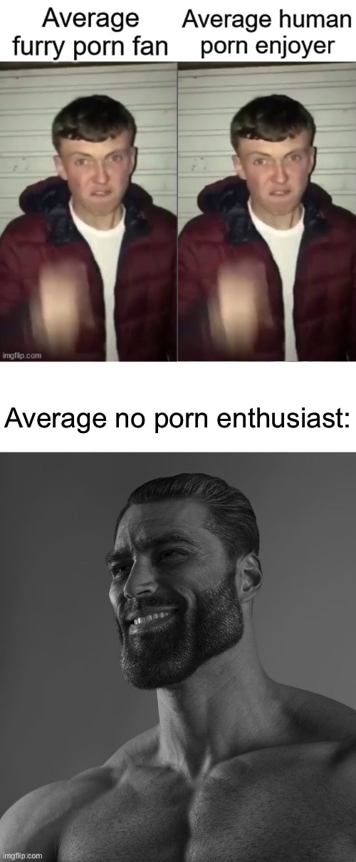 I fixed a meme I found in the anti-furry-society steam | Average no porn enthusiast: | image tagged in giga chad | made w/ Imgflip meme maker