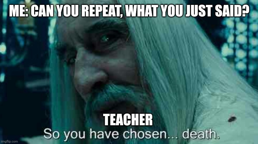 School meme | ME: CAN YOU REPEAT, WHAT YOU JUST SAID? TEACHER | image tagged in so you have chosen death | made w/ Imgflip meme maker