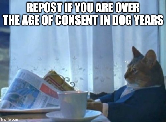 I Should Buy A Boat Cat | REPOST IF YOU ARE OVER THE AGE OF CONSENT IN DOG YEARS | image tagged in memes,i should buy a boat cat | made w/ Imgflip meme maker