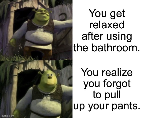 Meme for whoever experienced this | You get relaxed after using the bathroom. You realize you forgot to pull up your pants. | image tagged in shocked shrek face swap | made w/ Imgflip meme maker