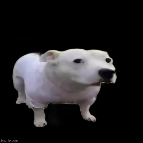 Transparent Huh Dog | made w/ Imgflip meme maker