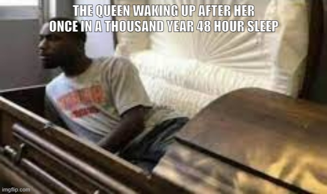 Guy waking up at the funeral | THE QUEEN WAKING UP AFTER HER ONCE IN A THOUSAND YEAR 48 HOUR SLEEP | image tagged in guy waking up at the funeral | made w/ Imgflip meme maker