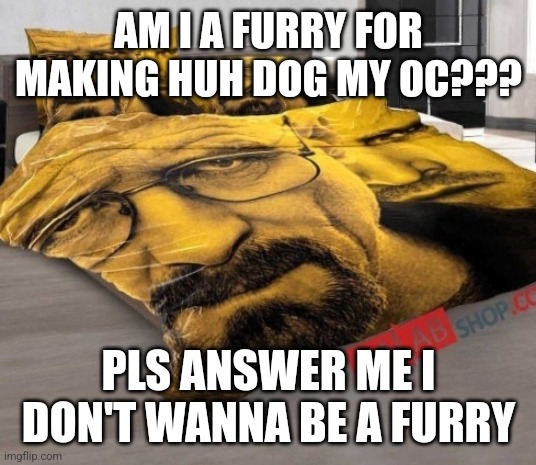 Breaking Bed | AM I A FURRY FOR MAKING HUH DOG MY OC??? PLS ANSWER ME I DON'T WANNA BE A FURRY | image tagged in breaking bed | made w/ Imgflip meme maker