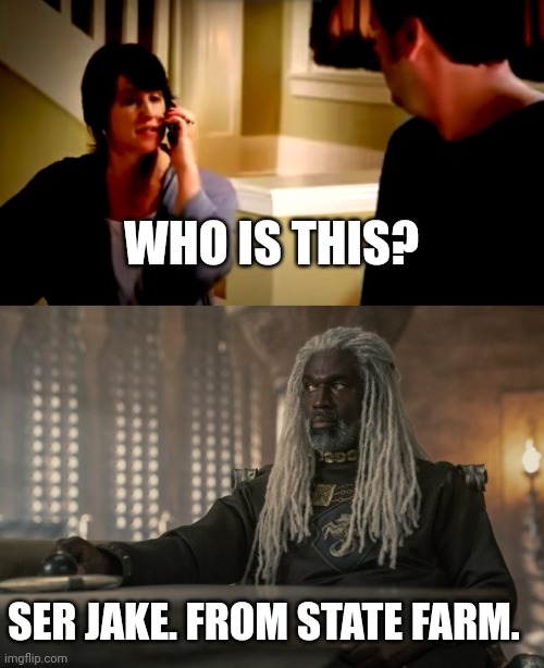 WHO IS THIS? SER JAKE. FROM STATE FARM. | image tagged in memes | made w/ Imgflip meme maker