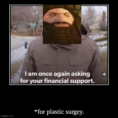 I am once again asking for plastic surgery | image tagged in funny,demotivationals,hagrid,ps1,christmas,harry potter | made w/ Imgflip demotivational maker