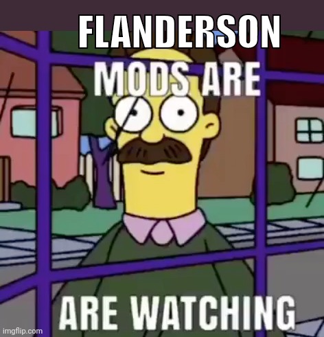 Mods are watching | FLANDERSON | image tagged in mods are watching | made w/ Imgflip meme maker