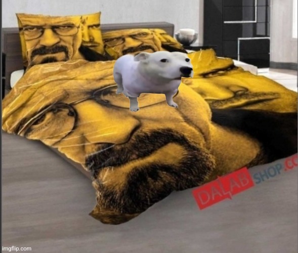 Fun fact huh dog has no owner but some how has a house with the breaking bed | made w/ Imgflip meme maker