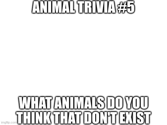 Aaaaand we're back with animal trivias | ANIMAL TRIVIA #5; WHAT ANIMALS DO YOU THINK THAT DON'T EXIST | image tagged in blank white template | made w/ Imgflip meme maker