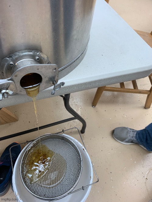 Harvesting honey today | made w/ Imgflip meme maker