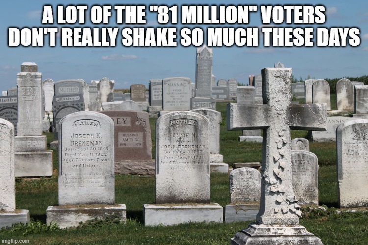 Cemetary | A LOT OF THE "81 MILLION" VOTERS DON'T REALLY SHAKE SO MUCH THESE DAYS | image tagged in cemetary | made w/ Imgflip meme maker