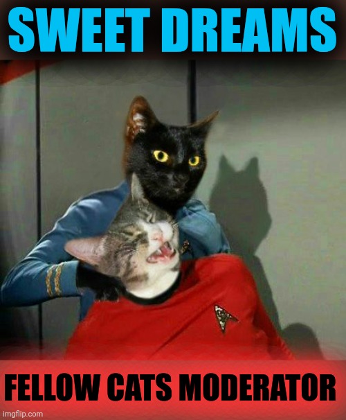 Vulcan Cat Pinch | SWEET DREAMS FELLOW CATS MODERATOR | image tagged in vulcan cat pinch | made w/ Imgflip meme maker