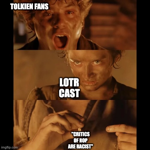 Betrayal of the fans | TOLKIEN FANS; LOTR CAST; "CRITICS OF ROP ARE RACIST" | image tagged in frodo wearing ring,lotr,rop | made w/ Imgflip meme maker